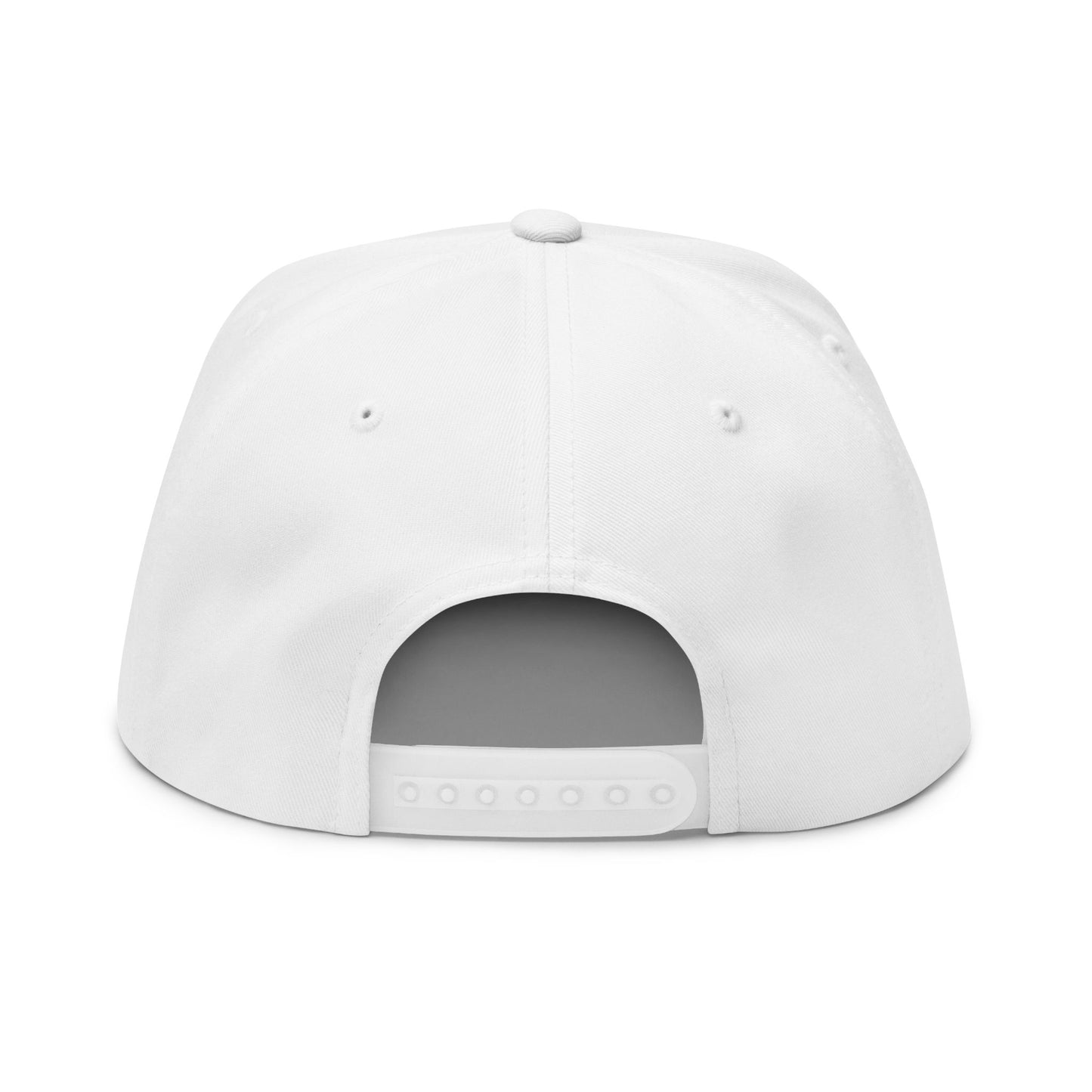Embroidered USA Sketch Flag Flat Bill Cap