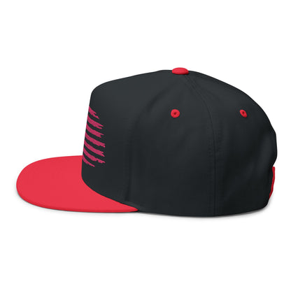 Embroidered USA Sketch Flag Flat Bill Cap