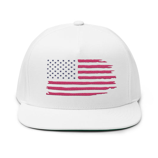Embroidered USA Sketch Flag Flat Bill Cap